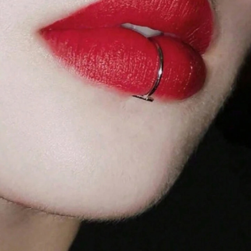 Fake lip ring - Picture 6 of 6